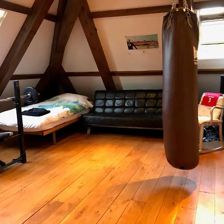 Monumental At The Forest Close To Haarlem And The 4*