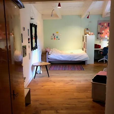 酒店 Monumental At The Forest Close To Haarlem And The 海姆斯泰德